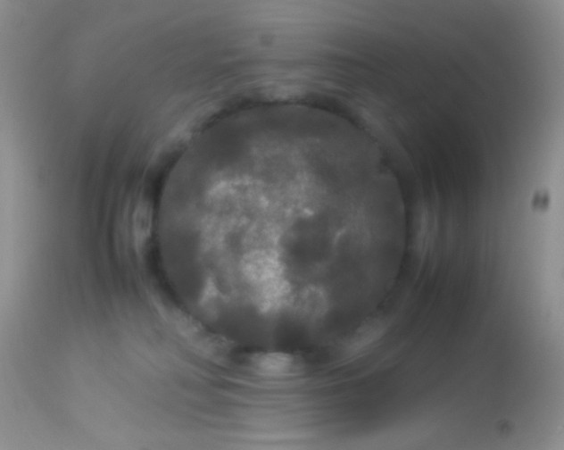 X0000113070230200909182032