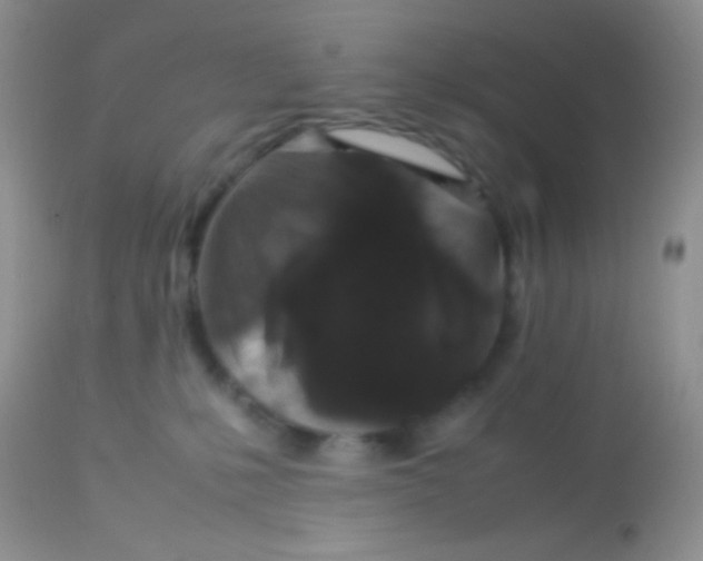 X0000113070231200909182032