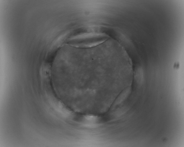 X0000113070233200909182032