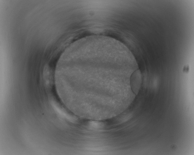 X0000113070234200909182032