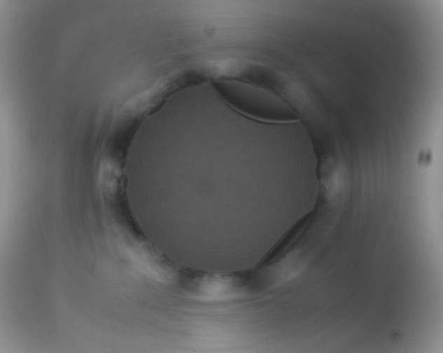 X0000113070235200909182032