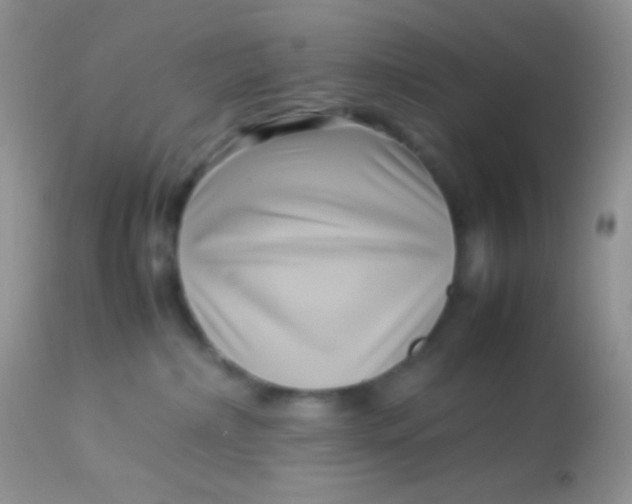 X0000113070236200909182032