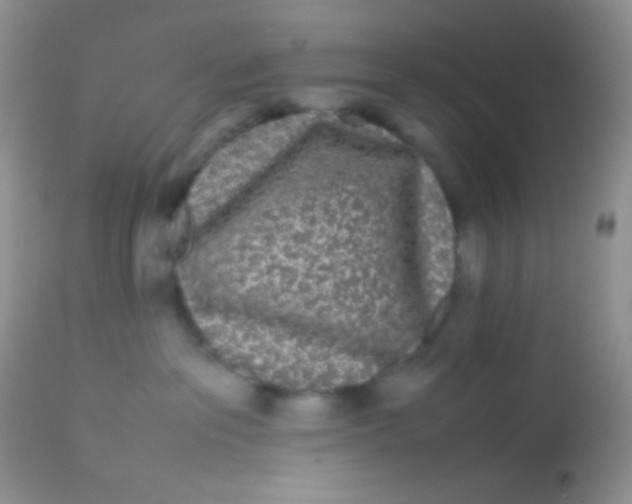 X0000113070237200909182032