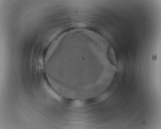 X0000113070238200909182032