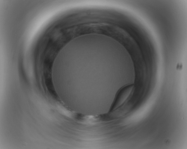 X0000113070239200909182032