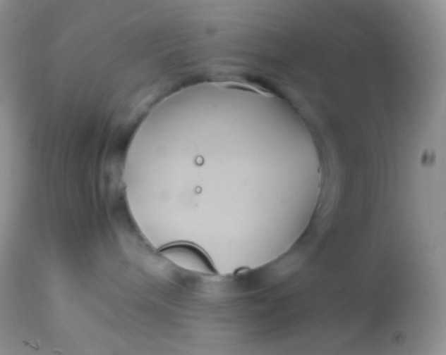 X0000113070240200909182032