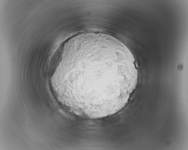 X0000113070241200909182031