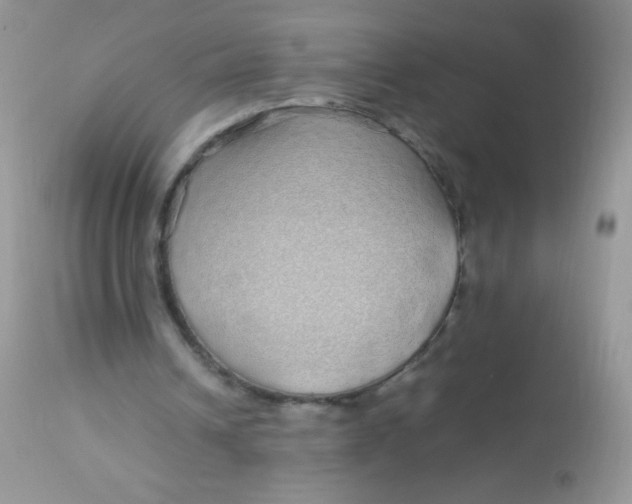 X0000113070242200909182031