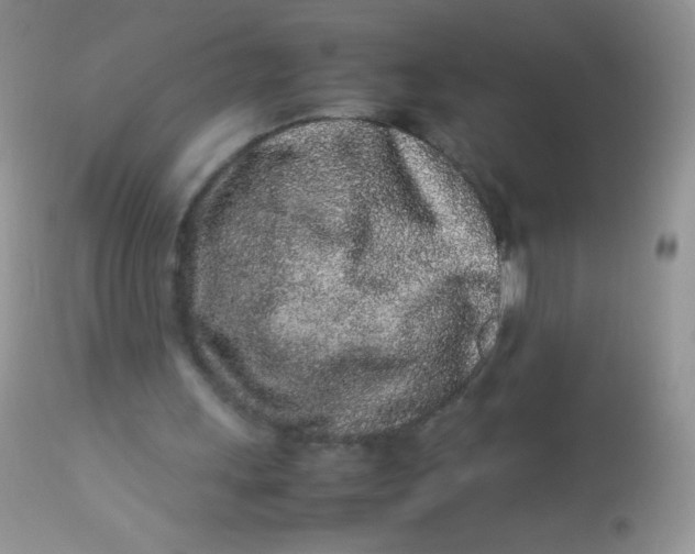 X0000113070243200909182031