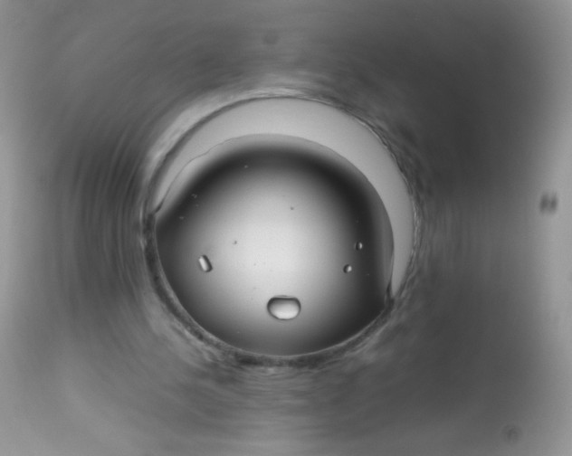 X0000113070244200909182031