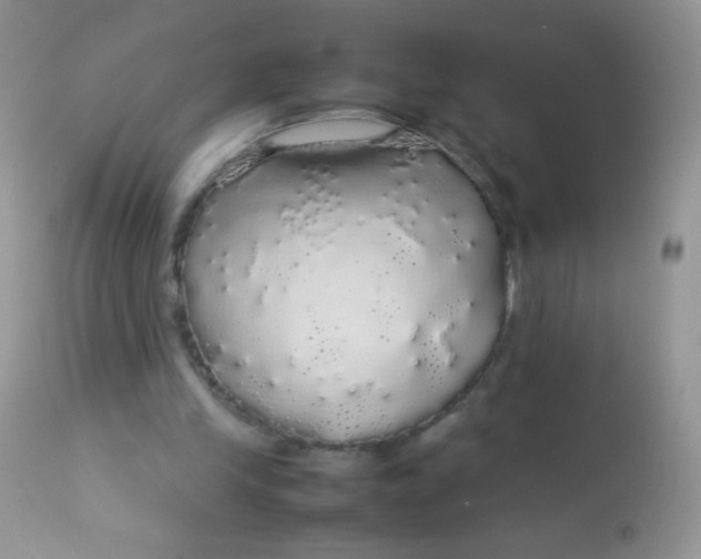 X0000113070245200909182031