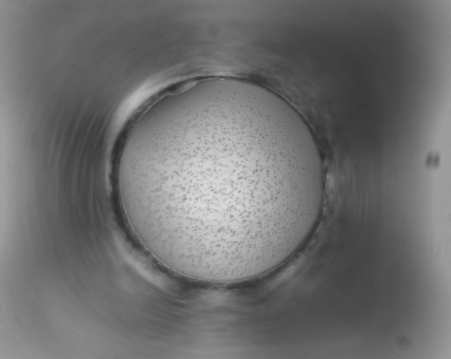 X0000113070246200909182031