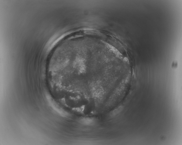 X0000113070247200909182031