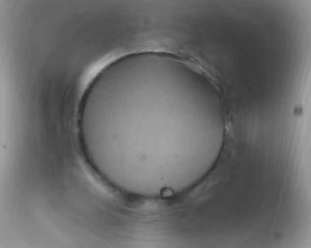 X0000113070248200909182031