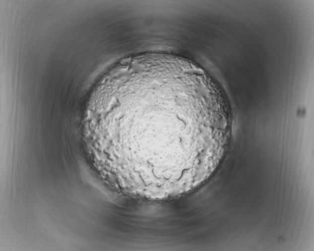 X0000113070249200909182031