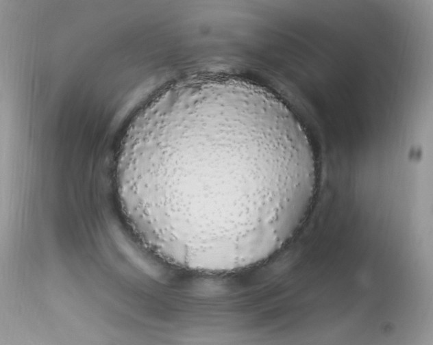 X0000113070250200909182031