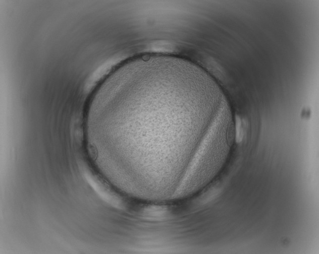 X0000113070252200909182032