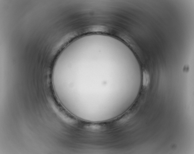 X0000113070253200909182032