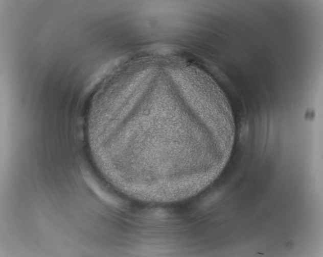 X0000113070254200909182032