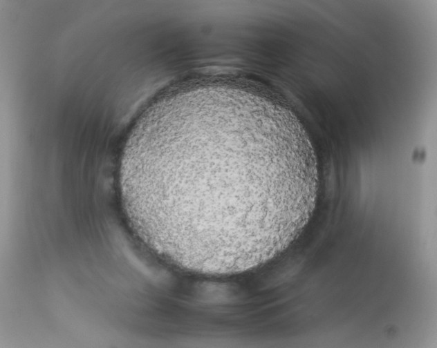 X0000113070255200909182032