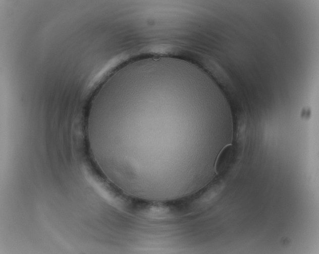 X0000113070256200909182032