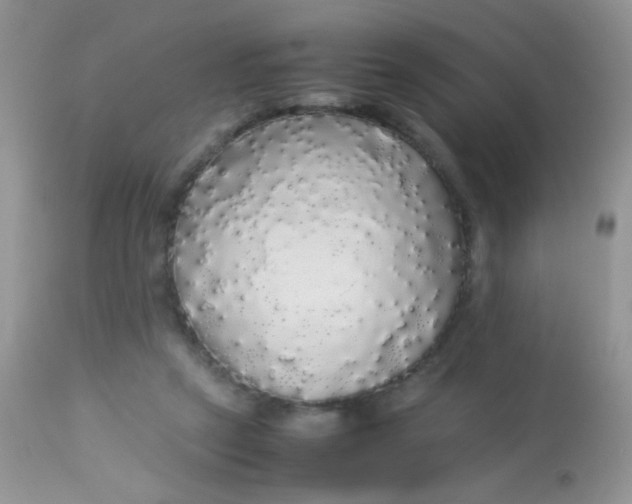 X0000113070257200909182032