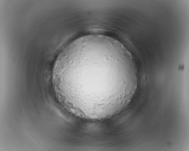 X0000113070259200909182032