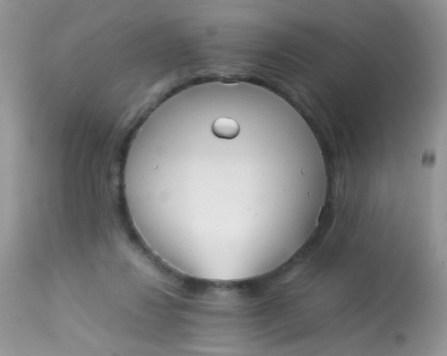 X0000113070260200909182032