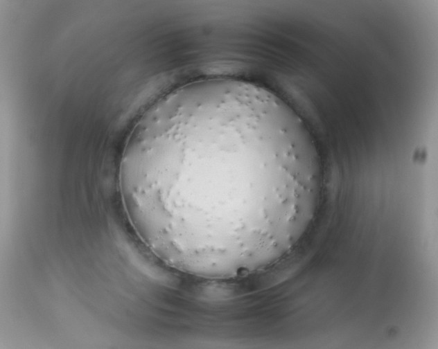 X0000113070261200909182032