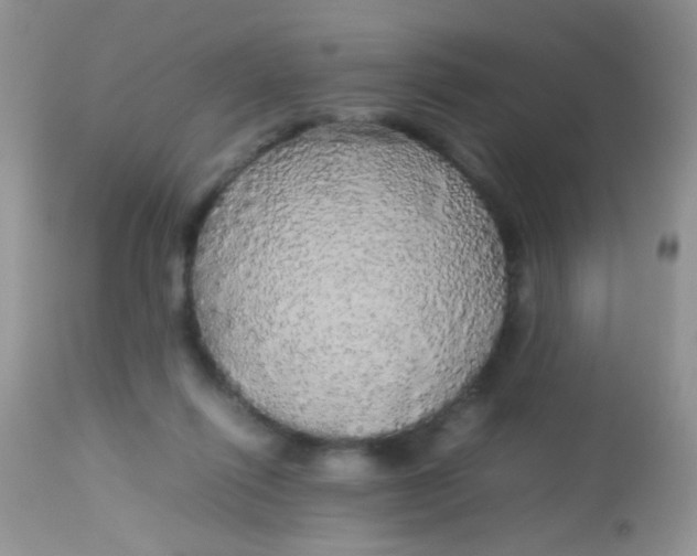 X0000113070262200909182032