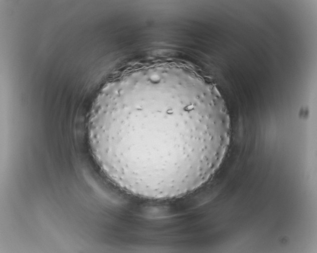 X0000113070263200909182032