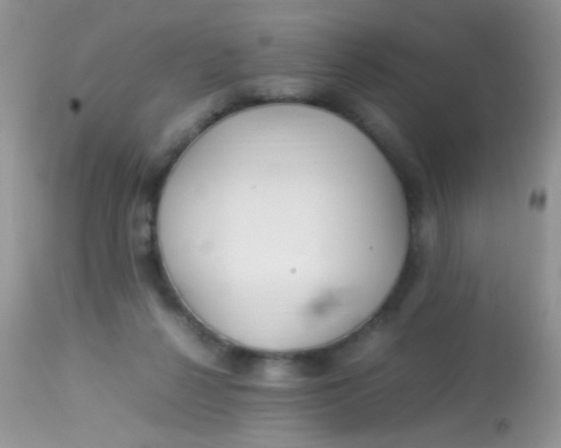 X0000113070264200909182032