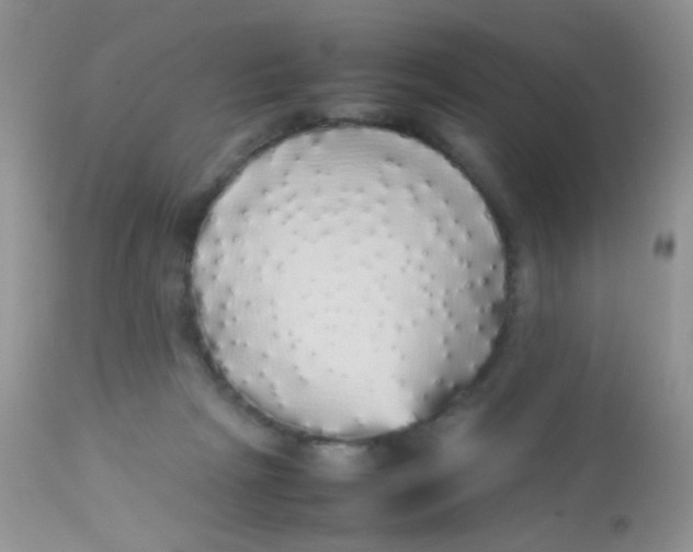 X0000113070265200909182032