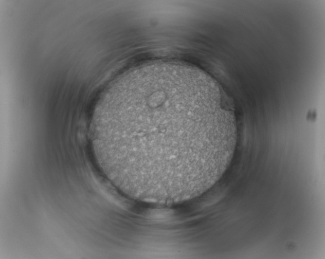 X0000113070266200909182032