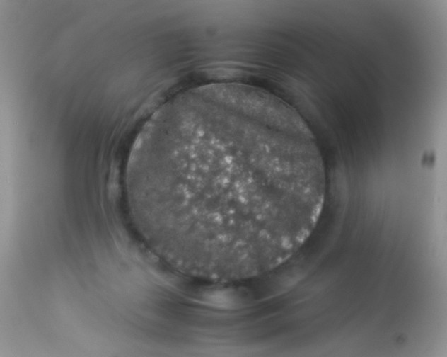 X0000113070267200909182032