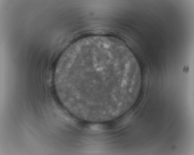 X0000113070268200909182032