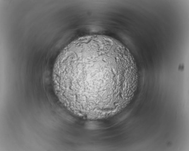 X0000113070269200909182032