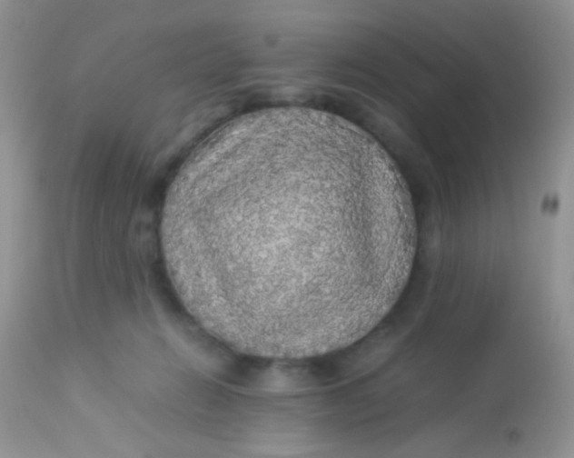 X0000113070270200909182032