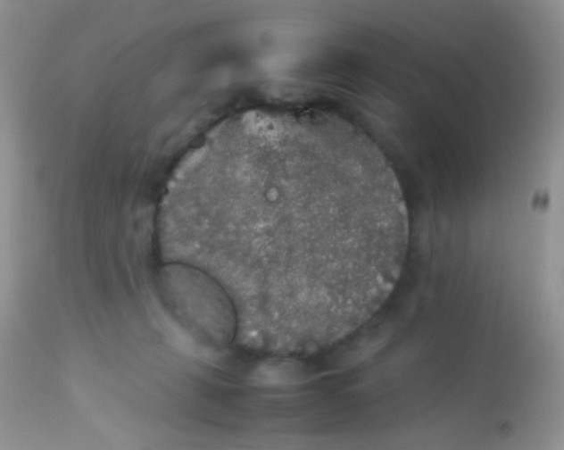 X0000113070271200909182032