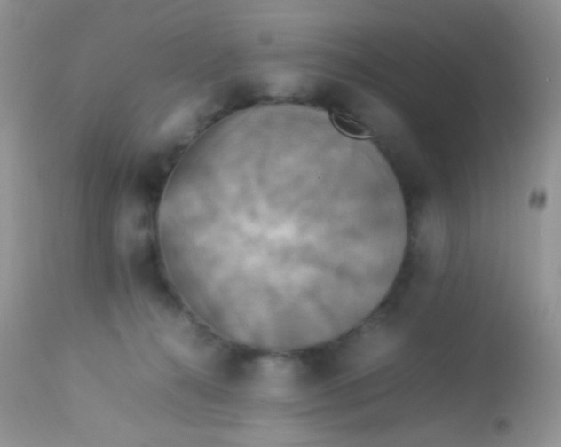 X0000113070272200909182032