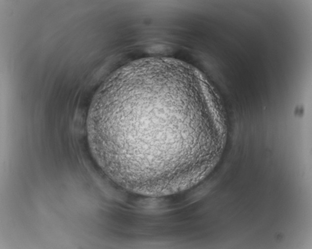 X0000113070273200909182032