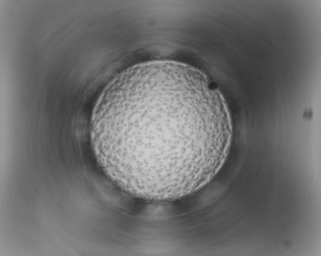 X0000113070274200909182032