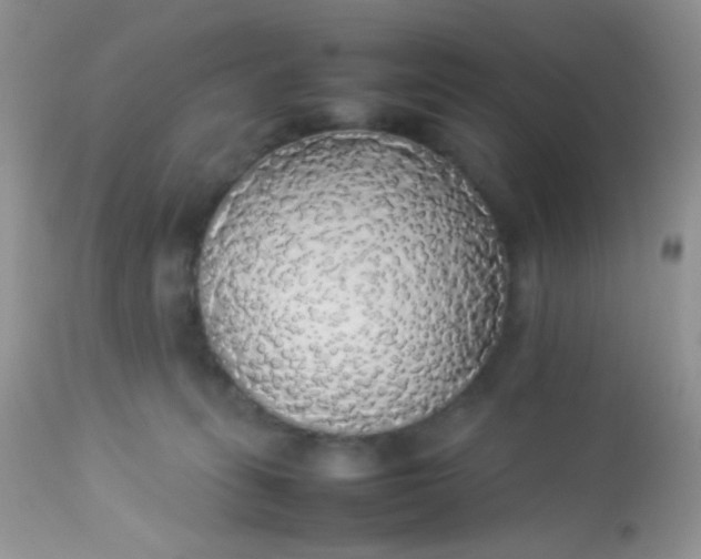 X0000113070275200909182032