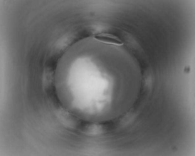 X0000113070276200909182032