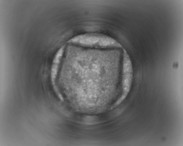 X0000113070277200909182032