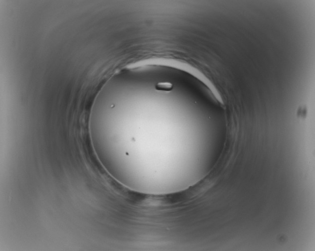 X0000113070280200909182032