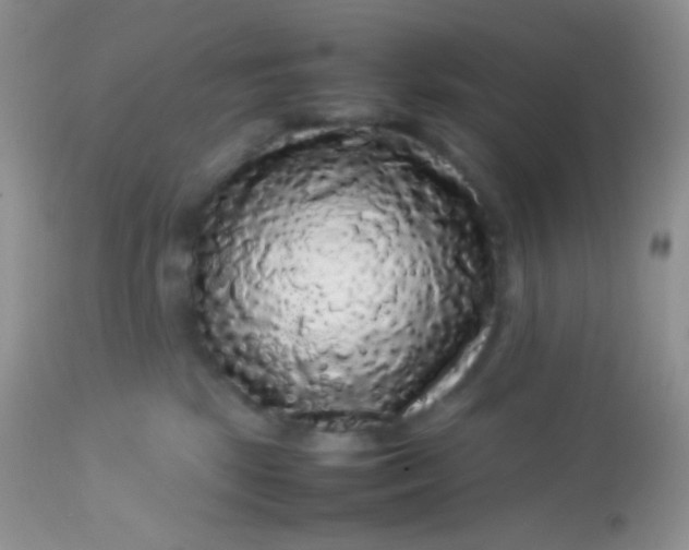 X0000113070281200909182032