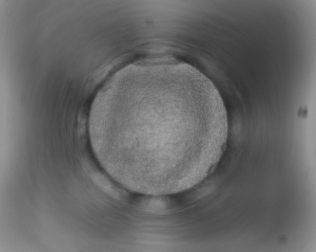 X0000113070282200909182032