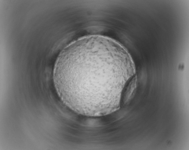 X0000113070283200909182032