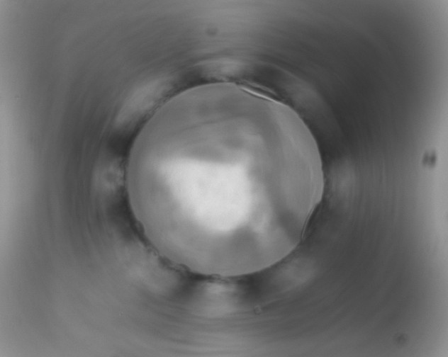 X0000113070284200909182032